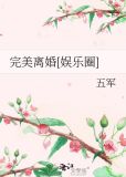 完美离婚[娱乐圈]