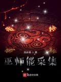 巫师能采集小说