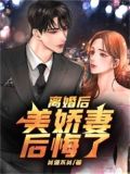 离婚后薄先生他后悔了