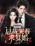 离婚后总裁哭着求复婚