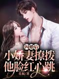 闪婚闪到小甜妻