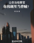 让你当检察官你韩剧里当曹贼txt