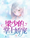 梁少的心尖宠