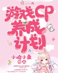 游戏 cp