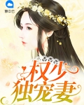 独宠:权少宠妻太高调