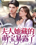 夫人藏好马甲