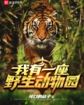 我有一座野生动物园 小说