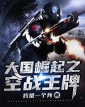大国崛起之空战王牌无限小说网