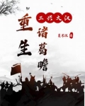 三国之重生诸葛之子