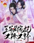 王爷的宠妃免费阅读