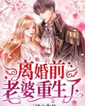 一胎二宝:离婚前,老婆重生了百度云