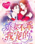 笔趣阁幸孕宠妻