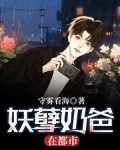 妖孽奶爸在都市TXT