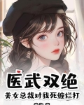医武双绝?美女总裁对我死缠烂打小说