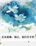 相公无耻小说